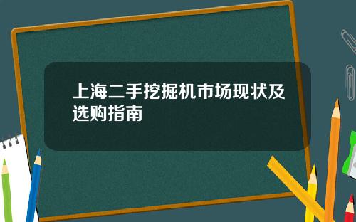 上海二手挖掘机市场现状及选购指南