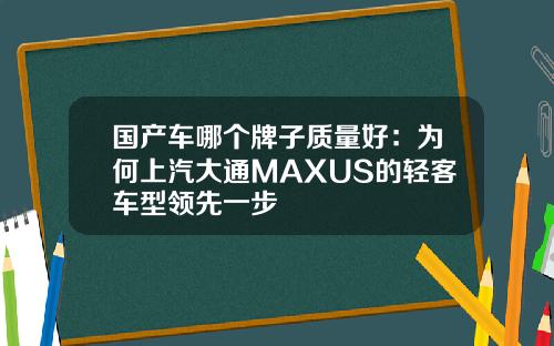国产车哪个牌子质量好：为何上汽大通MAXUS的轻客车型领先一步