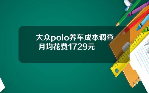 大众polo养车成本调查 月均花费1729元