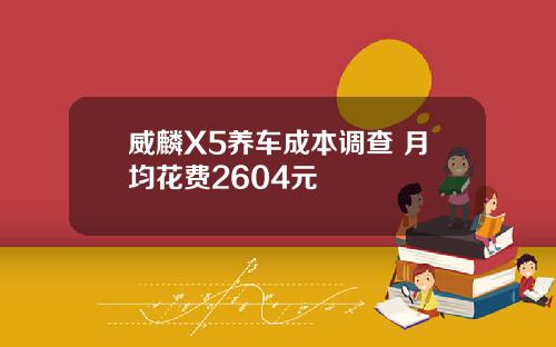 威麟X5养车成本调查 月均花费2604元