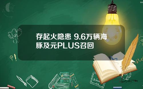 存起火隐患 9.6万辆海豚及元PLUS召回