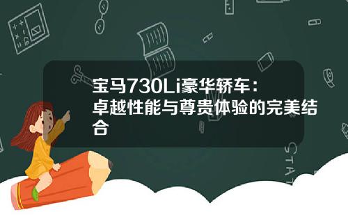 宝马730Li豪华轿车：卓越性能与尊贵体验的完美结合