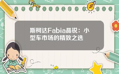 斯柯达Fabia晶锐：小型车市场的精致之选