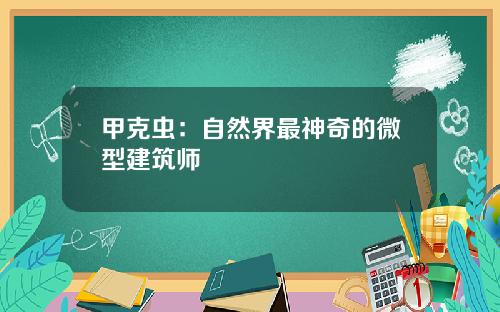 甲克虫：自然界最神奇的微型建筑师