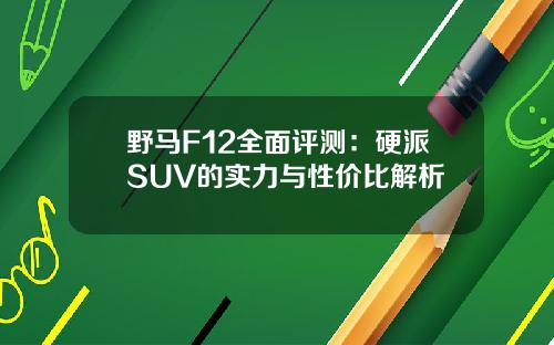 野马F12全面评测：硬派SUV的实力与性价比解析
