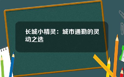 长城小精灵：城市通勤的灵动之选